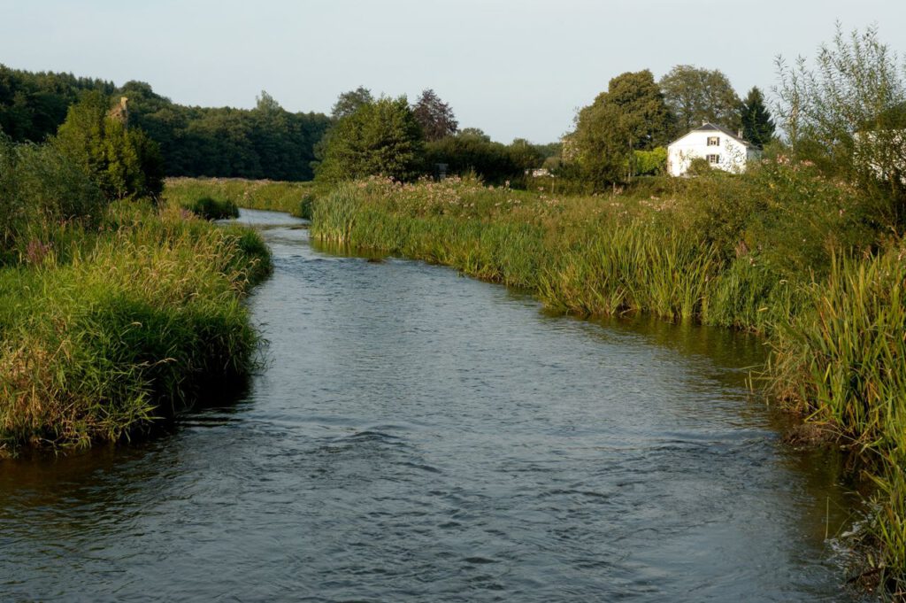 Tranquil countryside river landscape in Florenville, Belgium with lush greenery and a distant house.